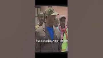 Update From Ngoketunjia 