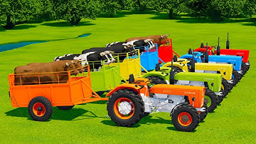 TRANSPORTING BULLS, COLORED URSUS & VALTRA TRACTORS WITH MAN TRUCKS - Farming Simulator 22