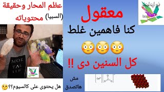 عظم المحار السبيا هل يحتوى على الكالسيوم؟