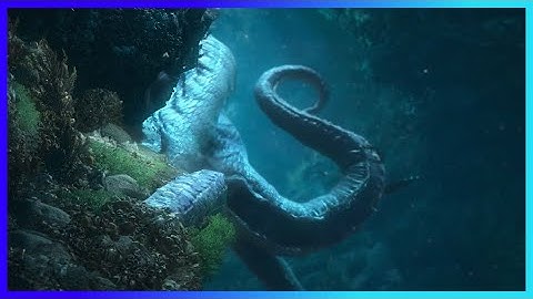 Justice Online | Gameplay Trailer