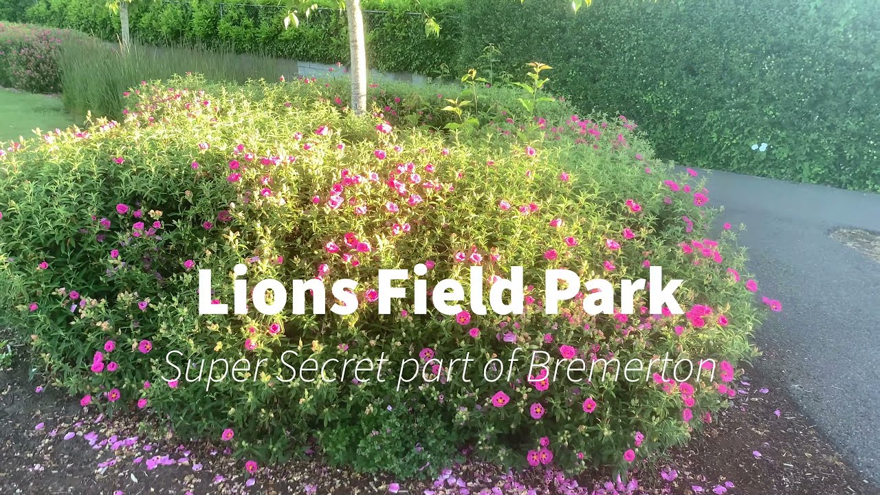 Lions Field Park - Bremerton Kitsap County Washington near Tracyton in the Pacific Northwest