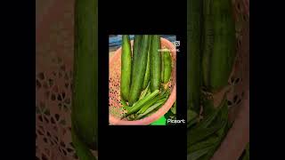 bhindi homegrown garden nimbu lemon?? organic gardening terracegarden