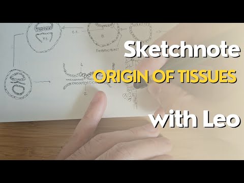 Sketchnote Origin of
