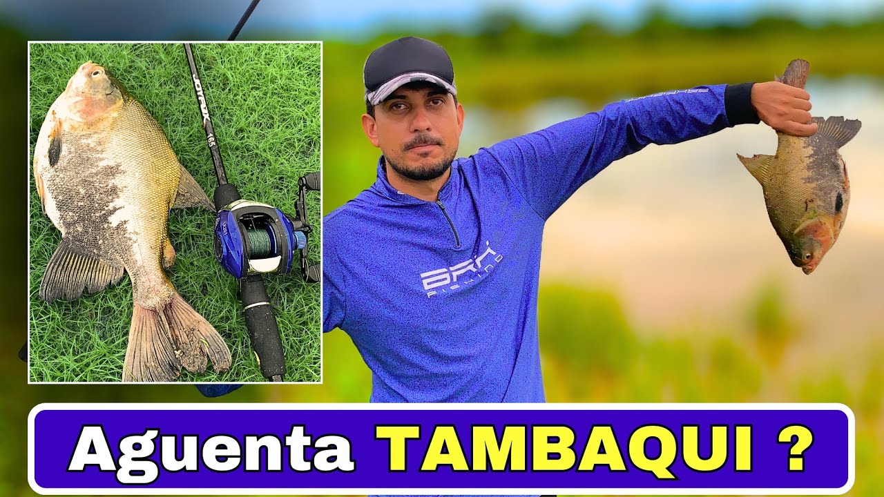 Pescando TAMBAQUI com Carretilha barata da shopee | aguenta ? 