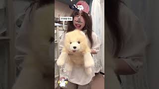 I will carry my cute puppy to school and show it off everywhere