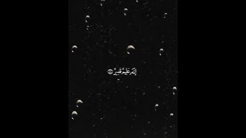 تلاوة من سورة الشورى.. وليد الشهري