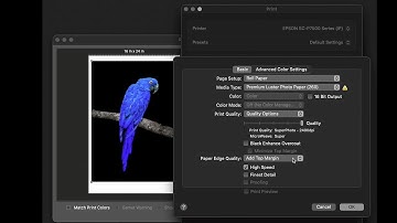 Epson Professional Printer Tips I Epson Driver vs. Epson Print Layout