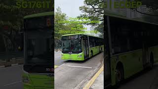 [Double buses] SG1725Z MDDEP on service 855 and (Rare Cameo) SG1761T ECDEP on service 65 departing