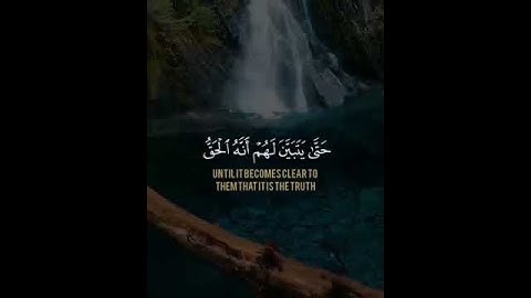 قرأن كريم بصوت القارئ ياسر الدوسري !! تلاوة خاشعة ارح قلبك 💚 حالات واتس اب