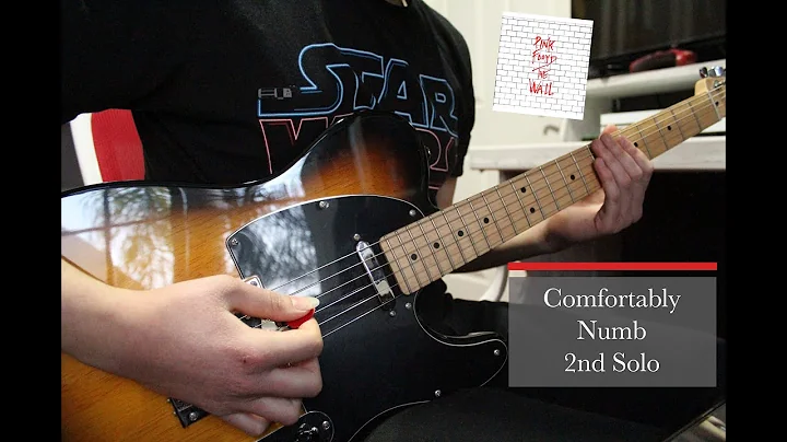 Pink Floyd - Comfortably Numb 2nd Solo - Juan M Ta...