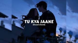 Tu Kya Jaane Slowed Reverb Yashika Ka Vindhya Editor