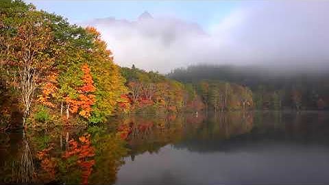 سورة الفاتحة بصوت القارئ أحمد الدباغ