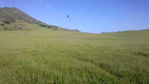 Trex 600 LE 55hz short inverted