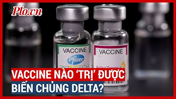 Vaccine Pfizer, AstraZeneca có hiệu quả cao đối với biến chủng Delta - PLO