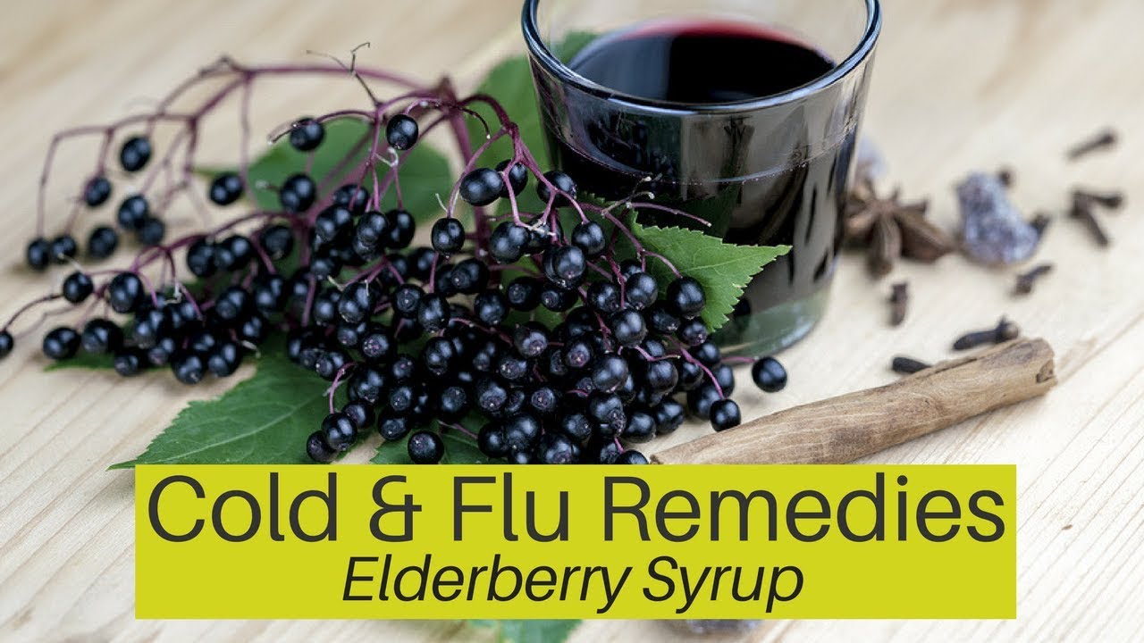 Herbal Remedies for Cold and Flu Elderberry Syrup as Medicine YouTube