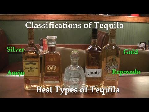 Classifications of Tequila  Best Types of Tequila  Difference Between Tequilas