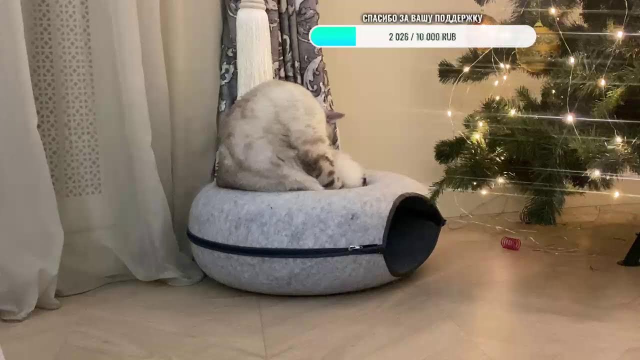 Добрый вечер