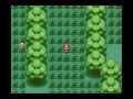 Pokemon Leaf Green Episode 3: The Bug Catchers Forest, Vs Green(Gary)