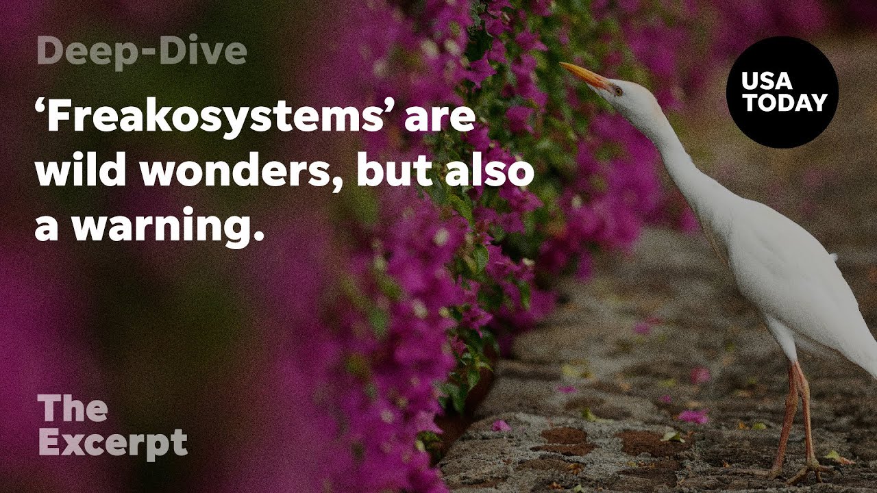 ‘Freakosystems’ are wild wonders, but also a warning | The Excerpt