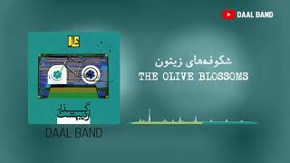 Daal Band - The Olive Blossoms | گروه دال - شکوفه‌های زیتون