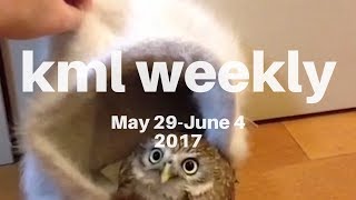 kml weekly compilation - #47