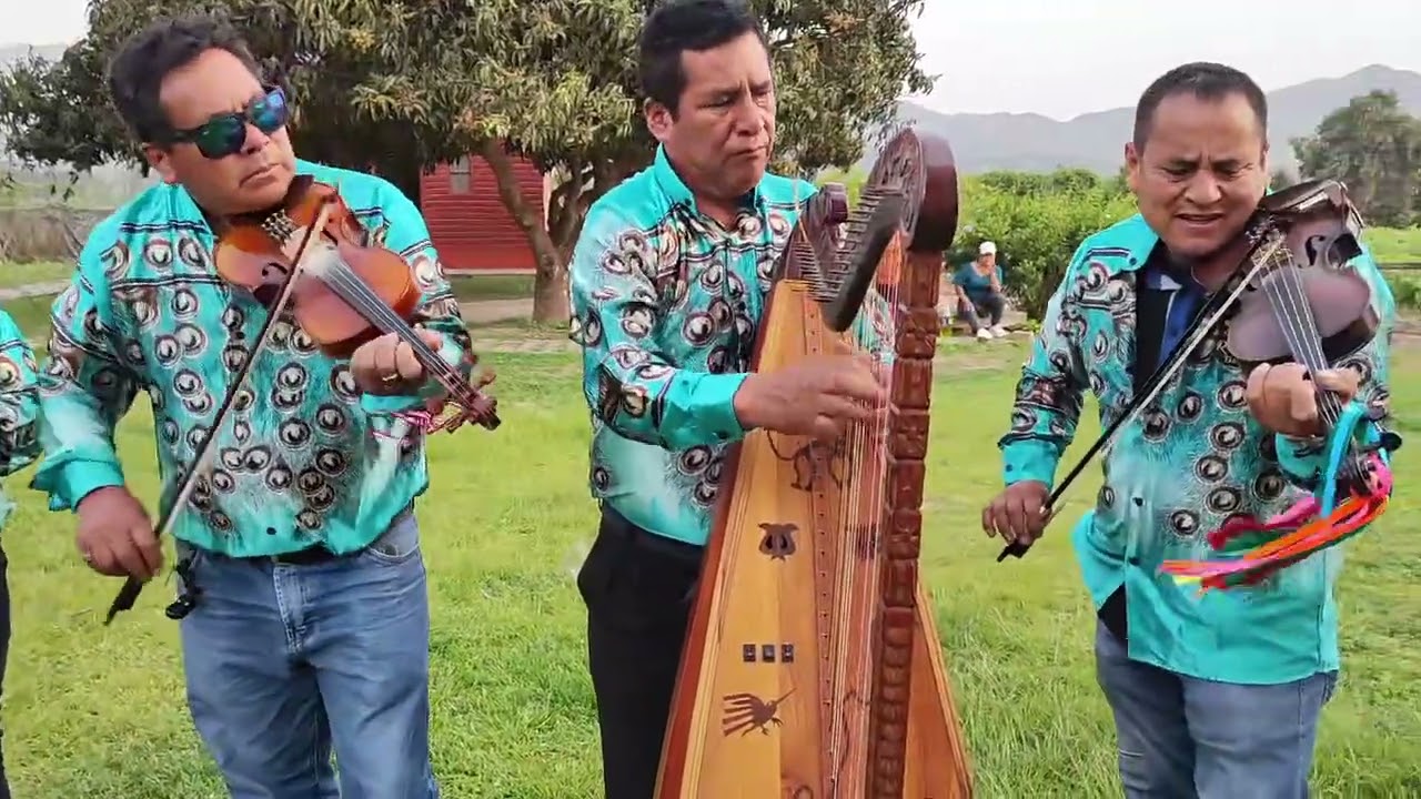 Mishki chingacino musica   #arpa #huayno #perú 