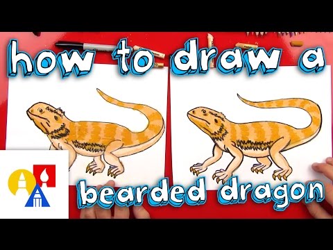 How To Draw A Bearded Dragon