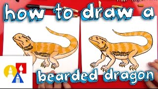 How To Draw A Bearded Dragon