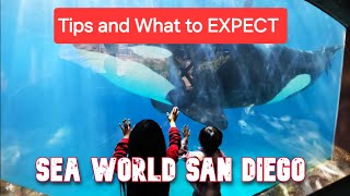 Sea World San Diego: Must-know Tips For Your Visit!  Was it worth it??? by Rob Daman 100 views 3 weeks ago 6 minutes, 34 seconds