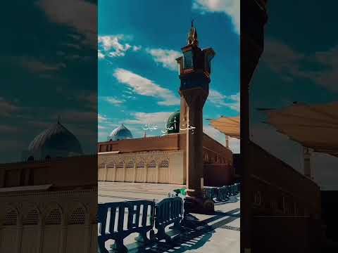 يا ابا الزهراء كم احن اليك