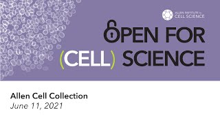 Open for (Cell) Science Tutorial: Allen Cell Collection Net Worth