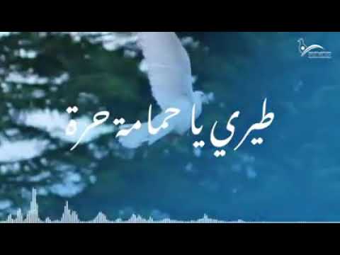 نشيد التجمع الوطني للأحرار روعة في الأداء