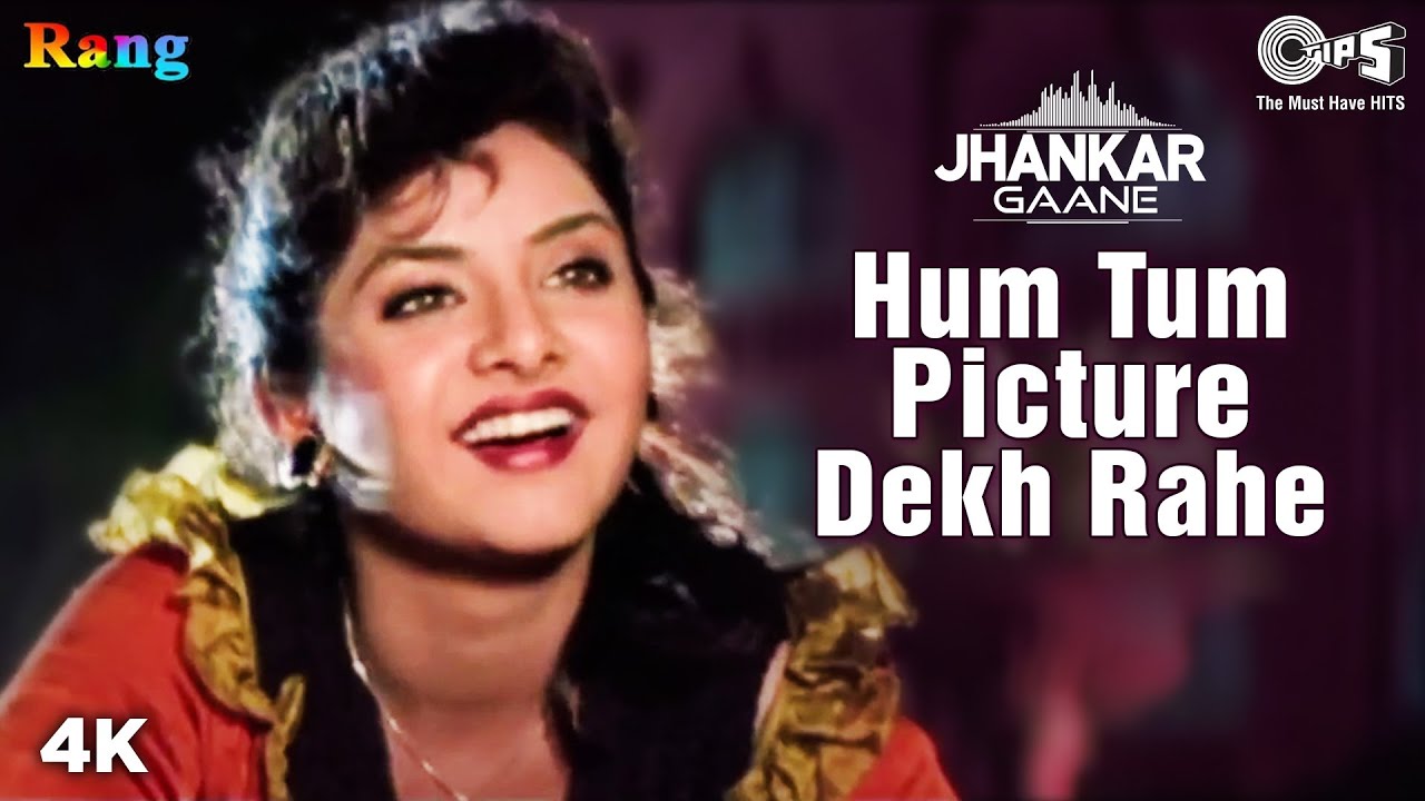 Hum Tum Picture Dekh Rahe Jhankar Divya Bharti  Alka Yagnik Udit Narayan  Rang Movie  90s
