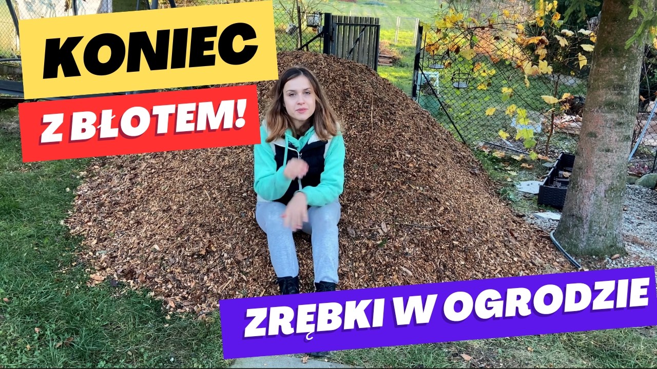 Ściółkuję alejki w ogrodzie zrębkami - czy było warto?