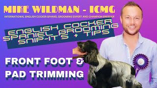 ENGLISH COCKER SPANIEL SNIPIT'S + tips with MIKE WILDMAN  Front Foot & Pad Trimming