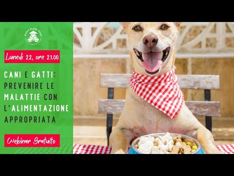 Video: Suggerimenti per evitare le malattie commerciali con i vostri animali domestici