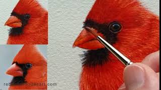 How to Paint a Cardinal in Watercolor