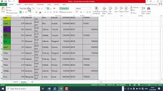 Sorting and Filtering data in Microsoft Excel
