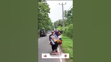 Sư Minh Tuệ và Tăng Đoàn Bộ Hành tại Sri Lanka ngày 11/4/2025 #suminhtue  #srilanka