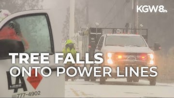 Large tree fell on power line in Southwest Portland during heavy winds