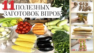 11 ПОЛЕЗНЫХ ЗАГОТОВОК ДЛЯ ВСЕЙ СЕМЬИ🔥СУШКА/ЗАМОРОЗКА/ЗАКРУТКИ НА ОСЕНЬ🔥ДЕГИДРАТОР OBERHOF В-53