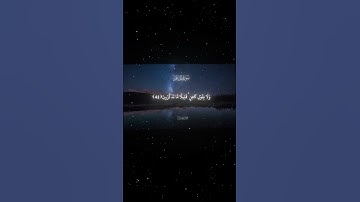 سورة الحاقة #قرآن #اكسبلور #المصحف #راحة_نفسية #القرآن_الكريم #لايك #الرحمن #دويتو #fyp