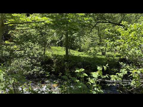 【Japanese Ambient / Field Recording】Azumino Air Sketches — Light Moving Through Water