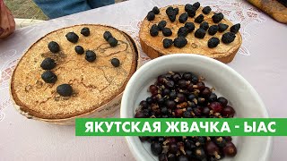 Якутская жвачка - ыас