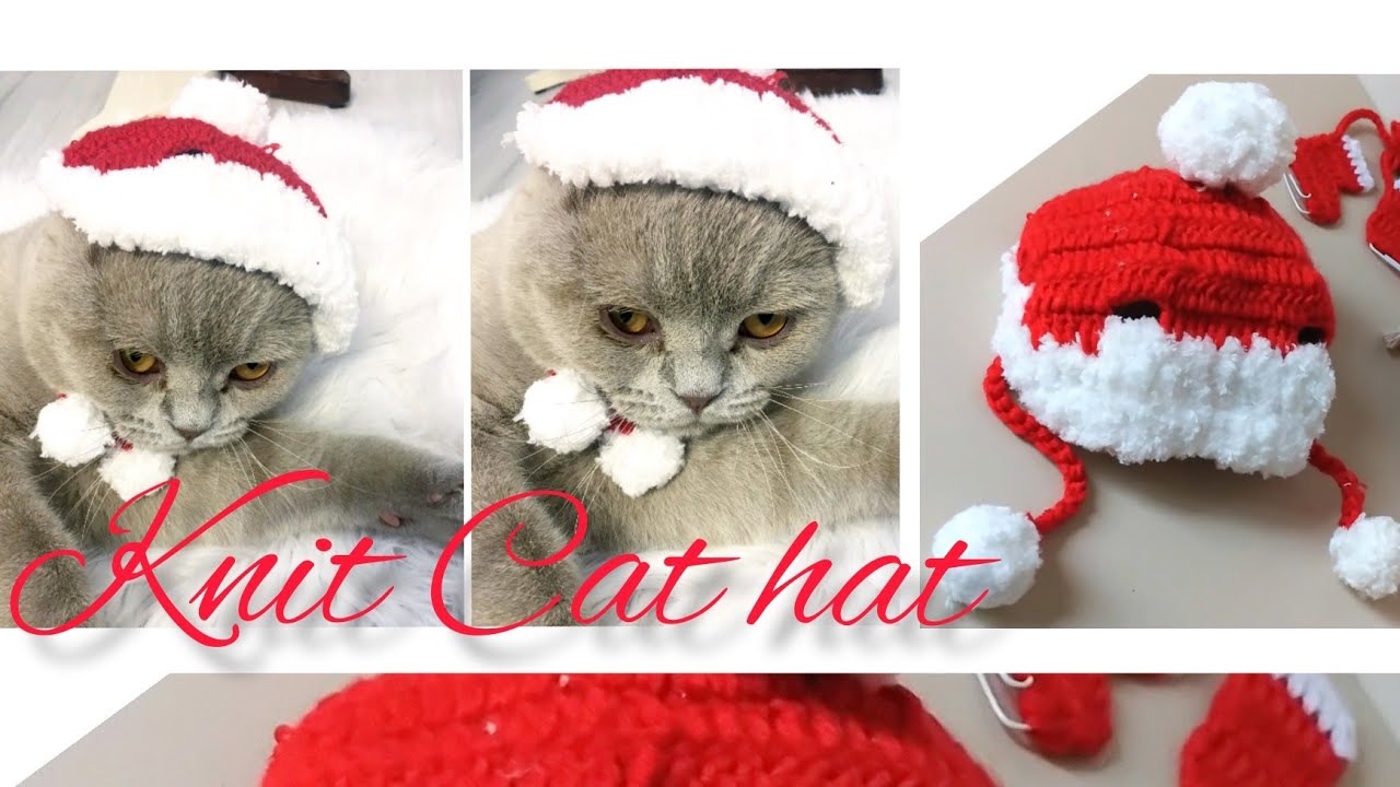 Kedi Şapkası Örme. - Kedi beresi, Hayvan kıyafeti. Noel Şapkası. Kedi Şapkası Yapımı . Knit cat hat