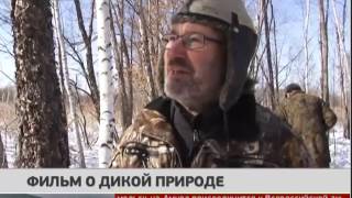 Фильм о дикой природе. Новости. 17/02/2017. GuberniaTV Фильм о дикой природе. Новости. 17/02/2017. GuberniaTV