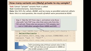 BroadE: Variant manipulation & analysis