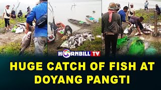 HUGE CATCH OF FISH AT DOYANG PANGTI