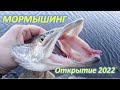 МОРМЫШИНГ. ОТКРЫТИЕ СЕЗОНА 2022