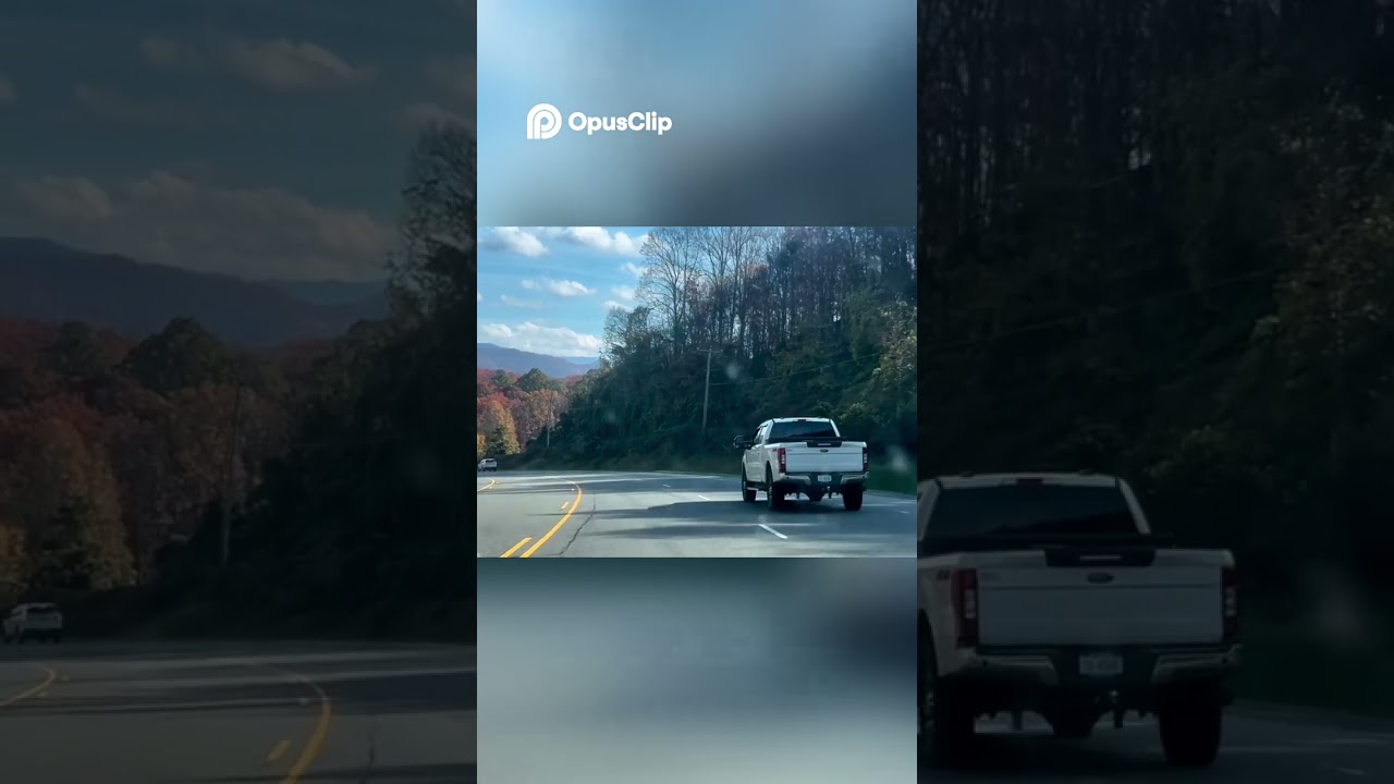 Epic Road Trip Views  Mountains, Trees, and Driving Vibes